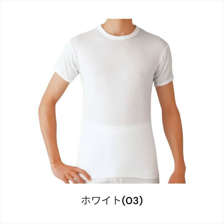 GQ-1 半袖丸首　2枚組 インナー やわらかくて、肌にやさしい。グンゼ GUNZE メンズ gqa514g M-LL ギフト プレゼント