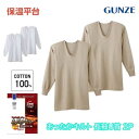 保温平台 遠赤外線加工 UネックTシャツ 半袖U首 2枚組 グンゼ GUNZE 綿100% rp63102 M-LL ギフト プレゼント