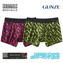 GUNZE グンゼ BODY WILD ボディワイルド ボクサーパンツ ジオメトリック柄 前とじ 綿混 アンダーウェア 下着 パンツ メンズ BWG185A M...