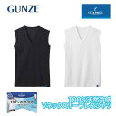 グンゼ クールマジック VネックスリーブレスTシャツ メンズ 春夏 半袖 インナーシャツ 接触冷感 消臭加工 汗消臭力 持続消臭 冷感 天然綿100% 涼しい 下着 肌着 爽やかな着心地 脇縫いなし ムレにくい 心地よい COOLMAGIC MCA518 M-LL ギフト プレゼント