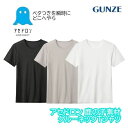 グンゼ アセドロン 半袖 クルーネック インナーシャツ メンズ 丸首 春夏 汗対策 吸汗 速乾 汗ムレ 汗 ムレ 防止 汗冷え 吸放湿 抗菌 防臭 春 夏 秋 ...