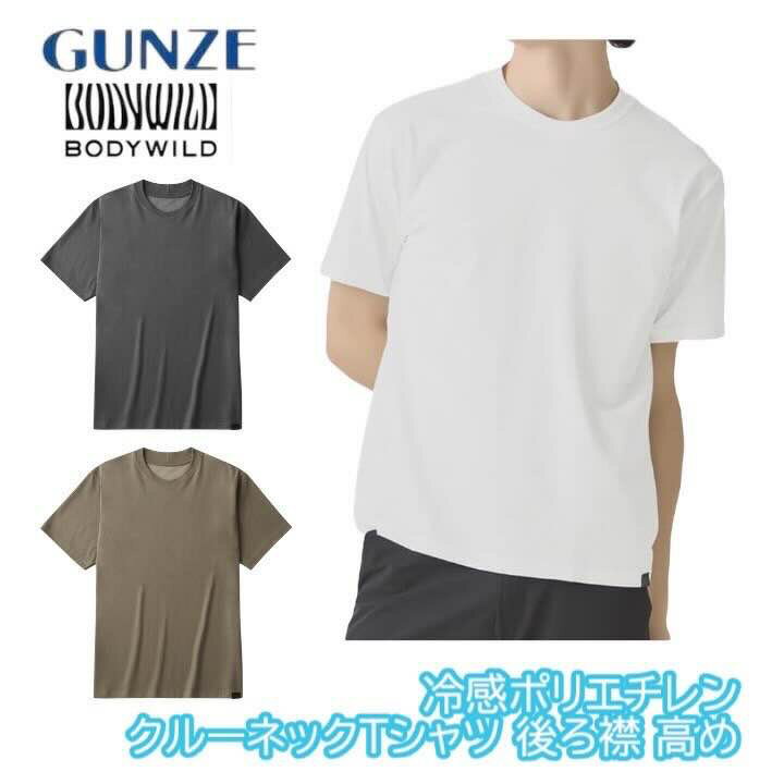グンゼ Tシャツ 丸首 メンズ ジャケット対応 汗ジミ対策 クルーネック 襟高仕様 綿 DRY 汚れにくい ビジネス カジュアル ボディワイルド BODYWILD BW7013A S-L ギフト プレゼントのサムネイル