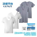 涼感平台 夏ひんやり クールコート加工 綿100% 半袖V首 インナー Tシャツ 2枚組 グンゼ GUNZE | メンズ 男性 紳士 vネック v首 半袖 涼感...