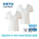 グンゼ 綿100% インナー メンズ 半袖 シャツ U首 夏 2枚組 GUNZE 男性 紳士 下着 肌着 アンダーシャツ tシャツ rb4716a M-LL ギ...