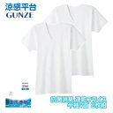 【10%OFFセール中】涼感平台 抗菌防臭 速乾フライス 半袖V首 インナー Tシャツ 2枚組 グンゼ GUNZE | 小さいサイズ メンズ 男性 紳士 vネッ...