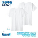 涼感平台 抗菌防臭 速乾フライス 半袖丸首 インナー Tシャツ 2枚組 LLサイズ 3Lサイズ グンゼ GUNZE | 大きいサイズ メンズ 男性 紳士 クルー...