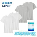 グンゼ インナートップス クルーネックTシャツ 吸汗速乾 抗菌防臭 鹿の子 メンズ M-LL rc78142 ギフト プレゼント
