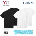 GUNZE グンゼ YG インナー メンズ VネックTシャツ 綿100% 2枚組 yv21152 M-LL ギフト プレゼント