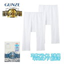 GQ-1 冷感フライス 半ズボン下 前あき 2枚組 グンゼ GUNZE | メンズ 男性 紳士 肌着 下着 メンズインナー 綿混 アンダーウェア ズボン下 前開...