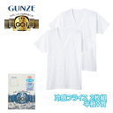 GQ-1 冷感フライス 半袖V首 インナー Tシャツ 2枚組 グンゼ GUNZE | メンズ 男性 紳士 vネック v首 半袖 肌着 下着 インナーシャツ 紳士...