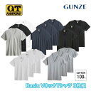 グンゼ ホーキンス 天竺 Vネック 無地 3枚組 脇縫いなし メンズ 綿 インナー Tシャツ 下着 アンダーウェア GUNZE G.T.HAWKINS M-LL...