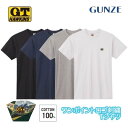 G.T.HAWKINS ホーキンス Tシャツ 綿100% グンゼ GUNZE | メンズ 男性 紳士 tシャツ インナー 半袖 hk2113b M-LL ギフト プレゼント