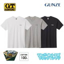G.T.HAWKINS tシャツ メンズ 半袖 グンゼ ホーキンス VネックTシャツ HK2115B おためし M-LL ギフト プレゼント