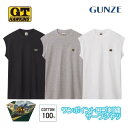 G.T.HAWKINS ホーキンス サーフシャツ 綿100% グンゼ GUNZE | メンズ 男性 ノースリーブ インナー 袖なし hk2118b M-LL ギフト プレゼント