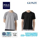 POLO ポロ インナートップス 吸汗速乾 リバーシブルメッシュ グンゼ GUNZE | メンズ 男性 紳士 pbn713 M-LL ギフト プレゼント