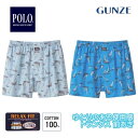 グンゼ トランクス 前開き メンズ 年間 ポロビーシーエス POLO GUNZE 綿100% 布帛 ゆったり ラク 柄 パンツ 下着 PBM822 M-LL ギ...