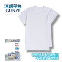 涼感平台 吸汗速乾 冷感天竺 半袖丸首 Tシャツ インナー 2枚組 グンゼ GUNZE | メンズ 男性 紳士 クルーネック 丸首 rc2714a M-LL ギ...