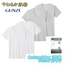 グンゼ やわらか肌着 2枚組 インナートップス 吸汗速乾 抗菌防臭 Cotton & DryVネックTシャツ メンズ sv70152 M-LL ギフト プレゼント