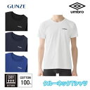 GUNZE グンゼ umbro アンブロ メンズクルーネックTシャツ 100%COTTON ロゴ 春夏 M-LL ub2113 ギフト プレゼント