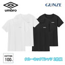GUNZE グンゼ umbro メンズ アンブロ メンズ クルーネック 半袖 Tシャツ 綿100% スポーツブランド ブランドロゴ ub21132 M-LL ギフト プレゼント