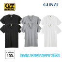 GUNZE G.T.HAWKINS メンズ Vネック Tシャツ 2枚組 綿100% 天竺素材 M-LL hk10152 ギフト プレゼント