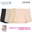 グンゼ GUNZE hadaka 脇 シック無縫製 レギュラーショーツ GUNZE レディース hz6162 M-LL ギフト プレゼント