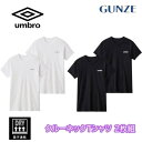 GUNZE umbro アンブロ クルーネックTシャツ GUNZE グンゼ umbro 2枚組 ジュニアメンズ 綿混 140 150 160 170 半袖インナ...