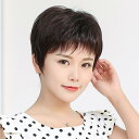 女性用 かつら の 髪の 女性用 ショート ストレート ヘア ナチュラルで リアルな 化学 療法 ウィッグ 中年 母親用 フルウィッグ セット 価格