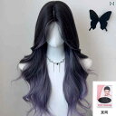 女性用 かつら 女性用 ウィッグ フル ヘッド セット【 紫 アゲハチョウ】 ミドル パート新 象徴 雰囲気 グラデーション ロング カール ヘアウィッグ セッ...