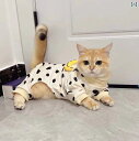犬 服 おもしろ 猫 服 秋 冬 四つ 足 抜け毛 防止 シルバー グラデーションブルー パペット ブリ ティッシュ ショート ヘア 子 犬 犬家