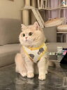 犬 服 おもしろ 猫 服 夏用 薄手 ベスト 抜け毛 防止 ペット 子 犬 犬用 スリング