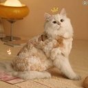 犬 服 おもしろ 猫 服 冬 ラグドール 春秋 子 抜け毛 防止 ペット 暖かい 厚手 秋