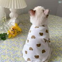 犬 服 おもしろ 猫 服 秋 抜け毛 防止 韓国 かわいい ブリ ティッシュ ショート ヘア ラグドール シルバー グラデーション 小型 ミルク 犬 ペット T...