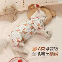 わんちゃん ペット服 猫の 服、 お腹の 脱落 防止 秋の 子 猫、 不妊 手術と 離乳、 ペットの 秋、 四本 足の ベルベット、 春と 秋