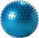 NORTHWAY SPORTS イボイボバランスボール アクアブルー φ58cm〜65cm NST-5810