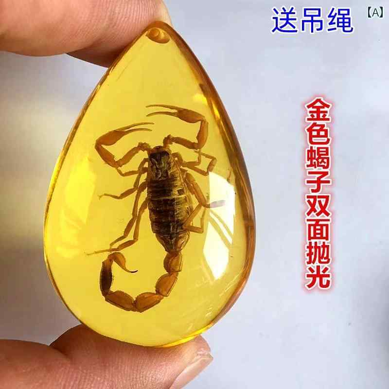 送料無料 おもちゃ ホビー 琥珀の 昆虫 標本 サソリ 蝶 カニ ペンダント 小学校 教科 書 子供の 科学 琥珀 樹脂 装飾 品 ギフト