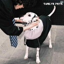 ワンちゃんの レインコート TwelvePets ペット 犬用 防水 防汚 トランペット つば ストーム レインコート マント ケープ 大型 中型 小型