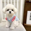 子犬用の服、耳付きの背中ストラップがついたキャットタンクトップ、ペット用の薄手で伸縮性のあるビーグルやテディベアキャット用服。