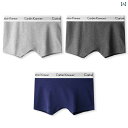 ボクサーパンツ 下着 ショーツ レディース 綿新 スタイル ユニセックス ボクサー ブリーフ スポーツ 通気性 パンツ 四隅 ショーツ 夏 薄手