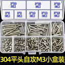 ネジ ボルト 釘 304 ステンレス スチール セルフ タッピングネジ セット 家庭用 ハードウェア ネジ 皿 頭 / 丸 大型 フラット ヘッド