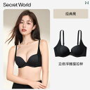 ブラ 女の子 思春期 シークレットワールド 女性用 下着 小さい 胸 大きい 横 乳 垂れ 防止 2025年 ブラジャー