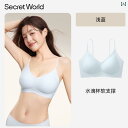 ブラ 女の子 思春期 シークレットワールド 下着 女性 小さい 胸 ギャザー スチール リングなし クール シームレス 美しい バック ブラジャー 夏 薄手