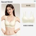 ブラ 女の子 思春期 シークレットワールド 下着 レディース 小さい 胸の プッシュアップ プルアップ コレクション サイドの 胸を 見せる 大きい ブラジャ...