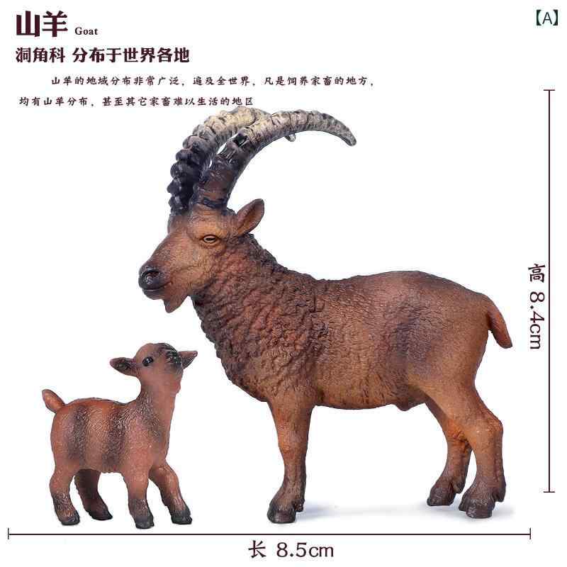 おもちゃ 動物 かわいい シミュレーション 野生 動物 カモシカ おもちゃ ヤギ 羊 トナカイ アル ガリ セット 子供の 科学と 教育の 認知 ギフト