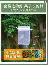 袋 メッシュ ネット 袋 メッシュ ネット 果物 袋 詰め 防 鳥 メッシュバッグ 防虫 専用 バッグ ビワ ブドウ 桃 イチゴ 保護 丈夫な 植え付け