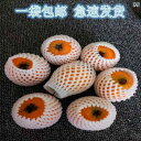 袋 メッシュ ネット フルーツ ネット カバー 耐衝撃 保護 スイカ リンゴ ビワ 卵 バッグ 包装 プラム