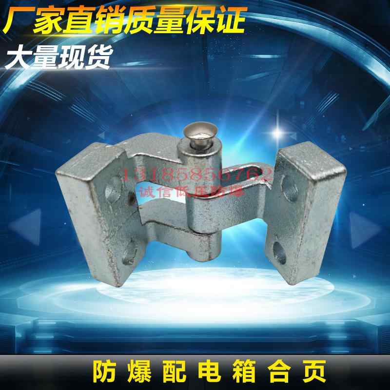 ヒンジ　ステンレス　ドア 炭素 鋼 調節可能 ヒンジ IIB 防 爆 ボックス 取り付け 大型 YHE 00 ホワイ..