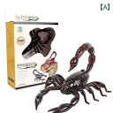 おもちゃ 動物 フィギュア リモコン サソリ 電動 カニ おもちゃ ビブラート スパイダー トリック ゴキブリ 少年 動く 爬虫類