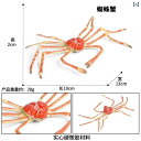 おもちゃ 動物 フィギュア 子供の おもちゃ 科学と 教育 認知 シミュレーション 海洋 動物 クモ ガニ タラバガニ カニ 装飾品 ホームデコレーション