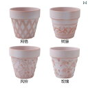 ガーデニング DIY 道具 霧 状の 白い 陶器の 植木鉢 赤い レリーフ 鉢 家庭用の 土 鍋 アマリリスの バラ
